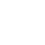 PRUEBA-ICONO-1